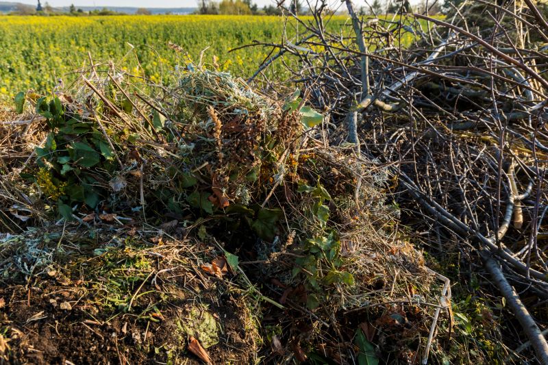 Winter Dormant Season