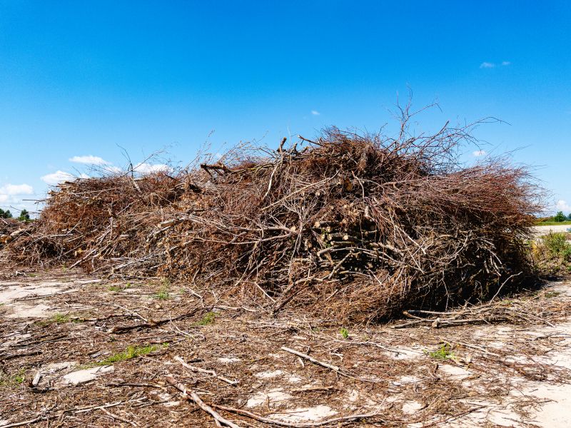 Land Cleared of Brush